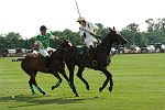 Polo Players<br>photo by Rob Rich � 2008 516-676-3939 robwayne1@aol.com