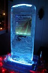 ice sculpture
